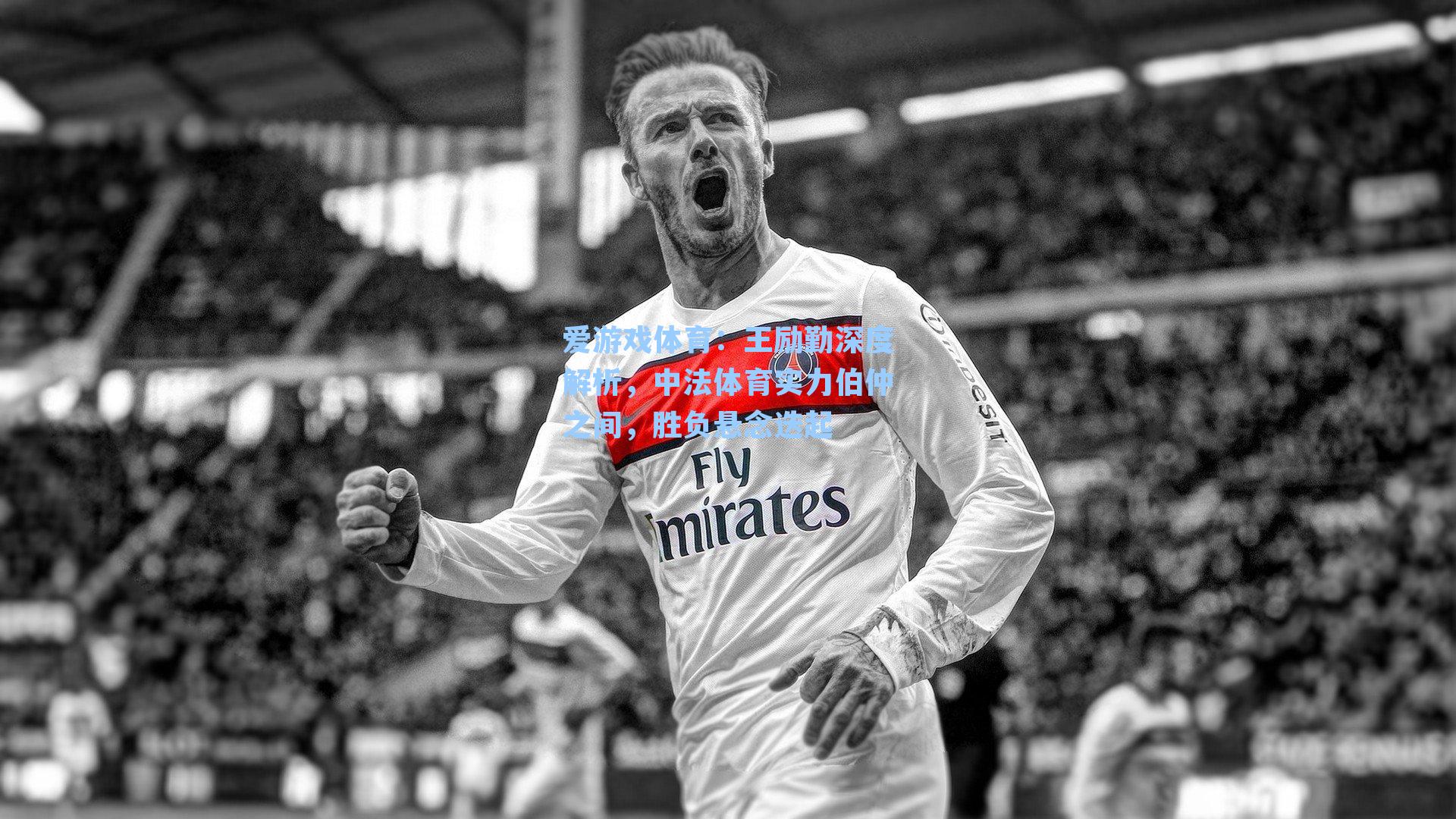 爱游戏体育：王励勤深度解析，中法体育实力伯仲之间，胜负悬念迭起